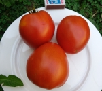 . Минусинский домашний сахарный