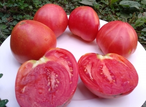 Семена томата сорта Минусинское сердце розовое - Гиганты сердцевидные