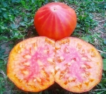 . Peppermint (Мятный)