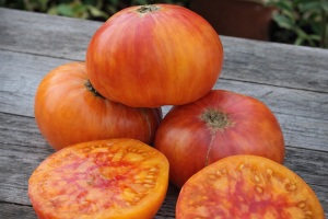 Семена сорта томата Олимпийский огонь - двуцветные гиганты