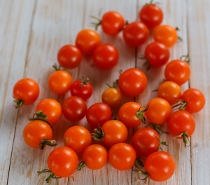 Семена томата сорта Orange Bullet (Оранжевая пуля) - Высокорослые «черри» (балконные томаты)