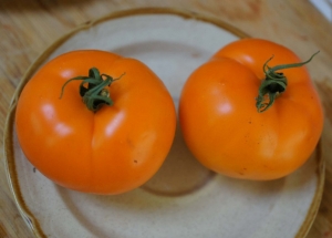 Семена томата сорта Пекинский оранжевый