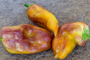 Семена перца сорта Клякса