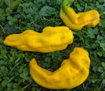 . Перец Рамиро желтый