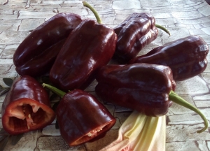 Семена перца сорта Шоколадка 