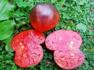 Семена томата сорта Пурпурное Яблоко (Purple Apple) - Синие томаты