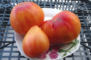 Семена сорта томата Оранжевый русский (Orange Russian) - сердцевидные двуцветные