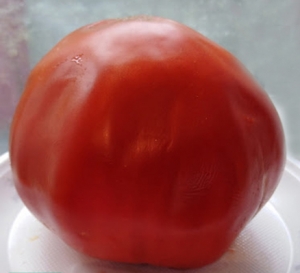 Семена томата сорта Секрет моей тещи - Гиганты красные