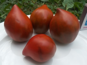 Семена томата сорта Linnaeus heart (Сердце Линнея) - Гиганты сердцевидные