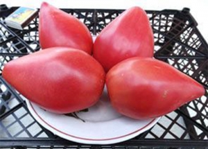 Семена томата сорта Сердце доброты (Heart of compassion) - Гиганты сердцевидные