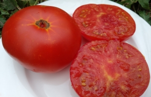 Семена сорта томата Sweet Scarlet Dwarf (Сладкий алый гном) - Гномы