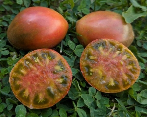 Семена томата сорта Сладкое трюфельное сердце - Гиганты сердцевидные