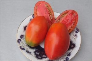 Семена томата сорта Сливка Мануэля - Высокорослые сливовидно-овальные