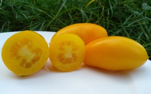 Семена сорта томата Сосулька желтая - Длинноплодные