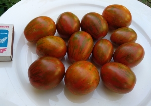 Семена томата сорта Супер экзотика - Высокорослые коктейльные полосатый