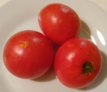 . Томат староверов 