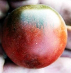 . Черная Богиня 