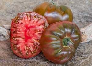 Семена томата сорта Black Giant (Черный гигант) - Шоколадные томаты