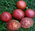 . Zwart Heil Lekken (Черный Хейл Ликкен)