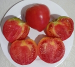 . Jung’s Giant Oxheart (Юнга гигантский оксхарт) 