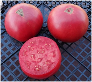 Семена томата сорта Abe Hall (Эйб Холл) - Гиганты розовые