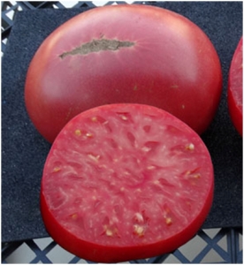 Семена томата сорта African Queen (Африканская Королева) - Гиганты розовые