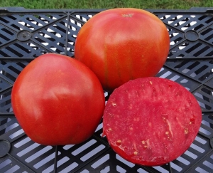 Семена томата сорта Albenga Oxheart - 2 (Бычье сердце Альбенга - 2) - Гиганты сердцевидные