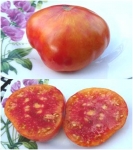 . Arkansas Marvel (Чудо Арканзаса)