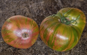 Семена томата сорта BSP (БСП) - Карликовые и штамбовые