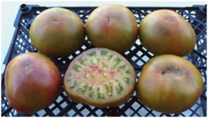 Семена томата сорта Black Sea Man (Черномор) - Шоколадные