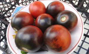 Семена томата Blue Chocolate (Синий шоколад) - синие