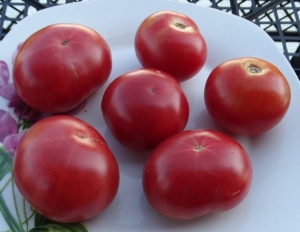 Семена томата сорта Brandywine Cherry (Potato Leaf)  (Брэндивайн вишнёвый (картофельный лист)) - Высокорослые «черри» (балконные томаты)