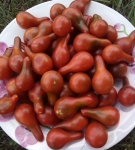 . Cafe Bule (Кафе Буле)