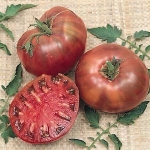 . Cherokee Purple (Чероки Пурпурный) 