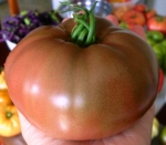 . Cherokee Purple (Чероки Пурпурный) 