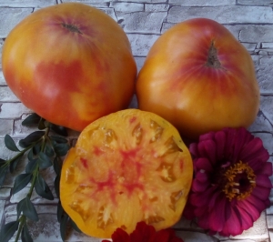 Семена томата сорта Chupa Chups Bicolor - Гиганты двуцветные