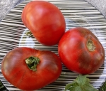 . Chupa Chups red (Чупа Чупс красный)