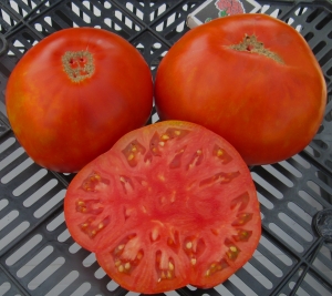 Семена томата сорта Delicious red (Делициозус красный) - Супер – гиганты 