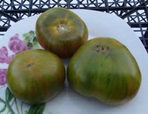 Семена сорта томата Delta Diver Green (Дельта Дивер Грин) - Зеленоплодные (изумрудные)