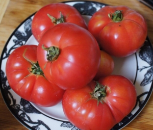 Семена сорта томата Dwarf Arctic Rose (Гном Арктическая роза, Гном Арктик Роуз) - Гномы