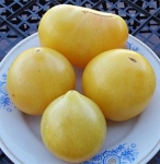 . Dwarf Lemon Ice (Гном Лимонный Лед) 