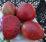 . Dwarf Purple heart (Гном Фиолетовое сердце)