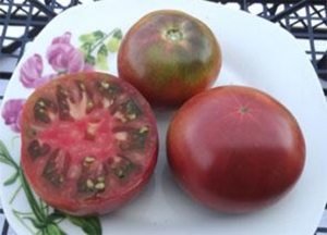 Семена томата сорта Dwarf Wild Spudleaf (Гном дикий картофельный лист) - Гномы