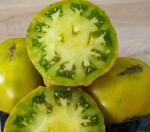 . Evergreen (Вечнозелёный)