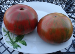 Семена томата сорта Gold Stripes (Золотые полосы) - Полосатые томаты