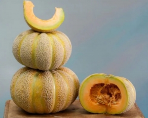 Семена дыни сорта Золотая Дженни (Golden Jenny)