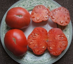 Семена томата сорта Helen's German (Хелен немецкий) - Гиганты розовые