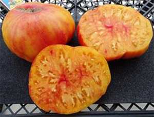 Семена томата сорта Jerry's German Giant (Немецкий гигант Джерри) - Гиганты двуцветные