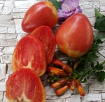 . Joe's Pink Oxheart (Джо Бычье сердце розовое)