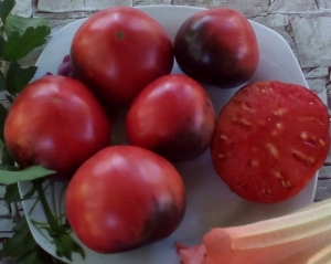 Семена томата сорта KAS 21\2 - Синие